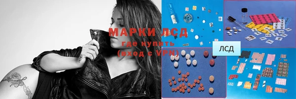 хмурый Ельня