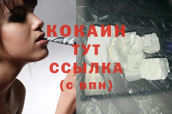 дмт Алзамай