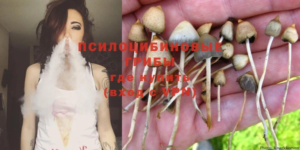дмт Алзамай