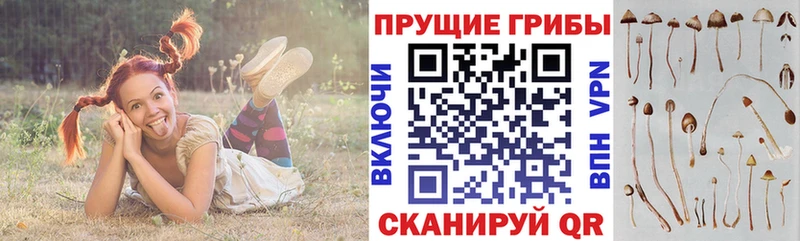 Галлюциногенные грибы Magic Shrooms  Ачинск 