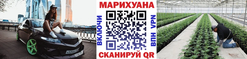 Шишки марихуана Amnesia  Ачинск 